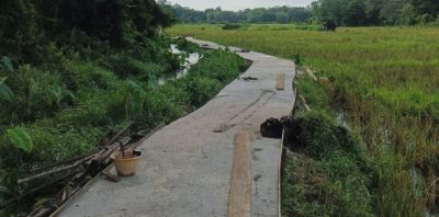 Tahun 2023, Pembangunan Jalan Usaha Tani Telah Dilaksanakan Dinas Pertanian Kampar