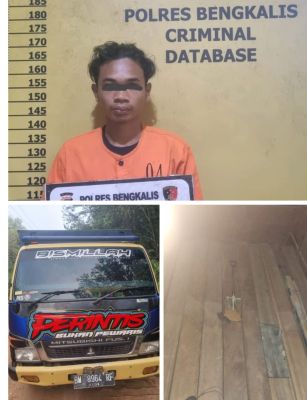 Tim  Satreskrim Polres Bengkalis Amankan Pelaku Diduga mengangkut kayu tampa Dokumen