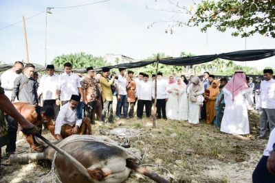 Usai Shalat Ied Adha di Masjid Arafah, Bupati Bengkalis melihat penyembelihan hewan qurban