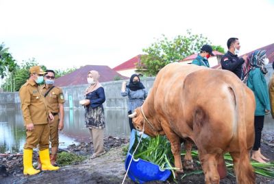 Wabup Bagus Santoso Lepas Sapi Qurban, Pilihan Presiden RI Jokowi