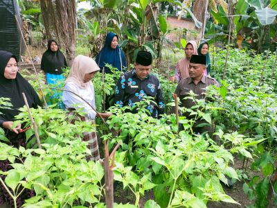 Wakil Ketua DPRD Kampar Fahmil Bersama Staf Ahli Gubri Yurnalis, Tinjau Program Gerakan Ocu Mapan